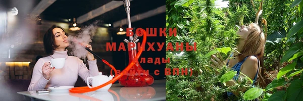 бутират Инсар