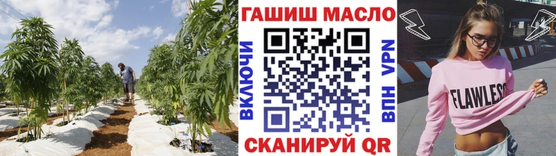 Купить закладки  Грязи  Дистиллят ТГК жижа 