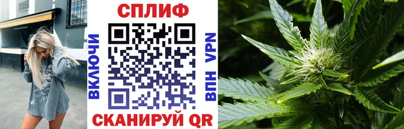 Бошки марихуана гибрид  Купить  Грязи 